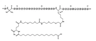 Sémaglutide